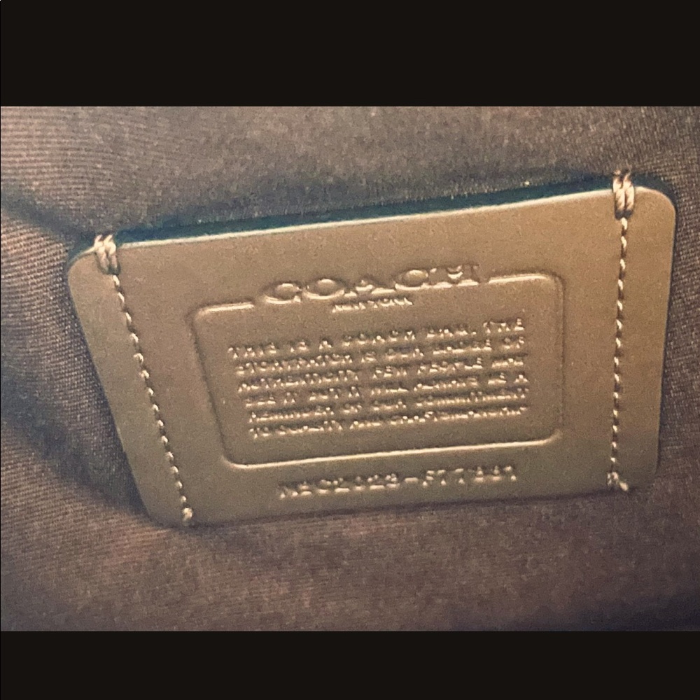 Coach Etta Carryall In Signature Canvas